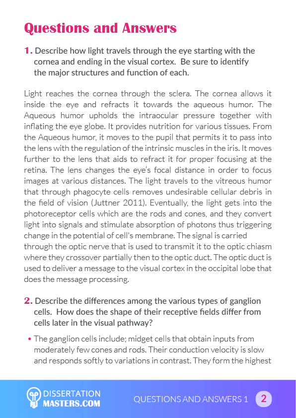 question and answer format essay